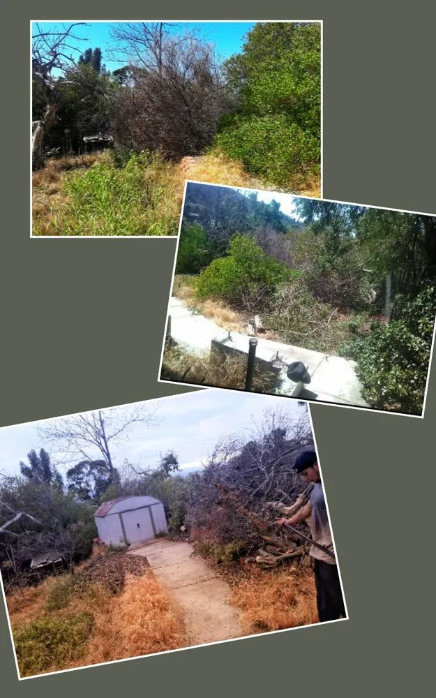 Local lawn care service in El Cajon, CA by Perennial Landscape and gardening