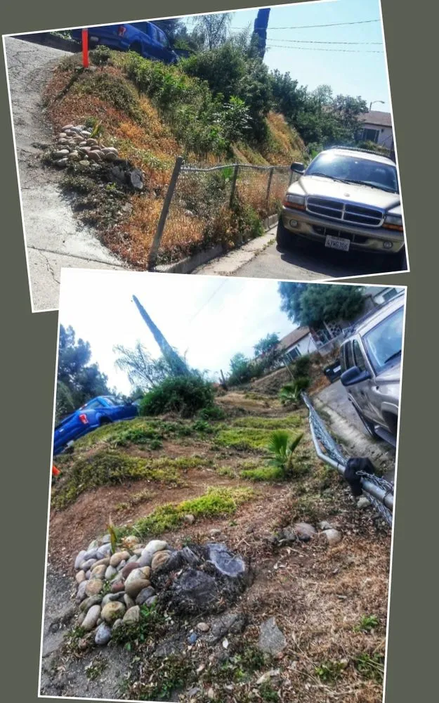 Expert lawn mowing service with custom design across El Cajon, CA - Perennial Landscape and gardening