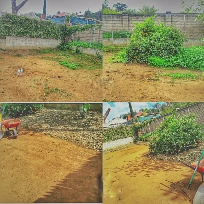 Affordable landscaping services experts serving El Cajon, CA - Perennial Landscape and gardening