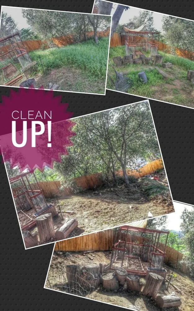 Professional landscape design experts serving El Cajon, CA - Perennial Landscape and gardening