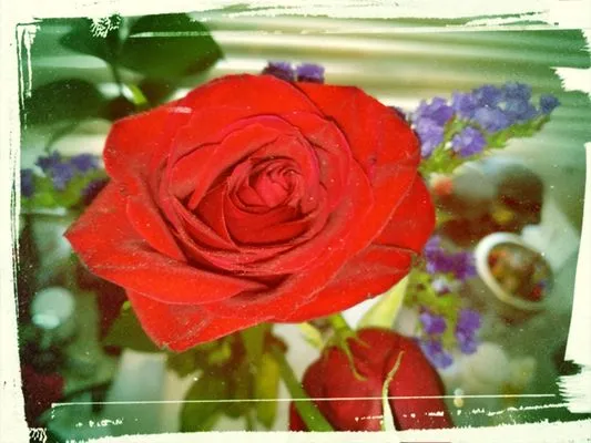 Perennial Landscape and gardening Logo