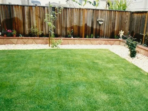 Trusted lawn care service in Hayward, CA by Perennial Landscaping