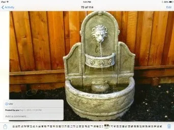 Affordable yard maintenance in Hayward, CA by Perennial Landscaping