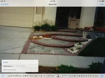 Affordable lawn care service for residential properties across Hayward, CA - Perennial Landscaping