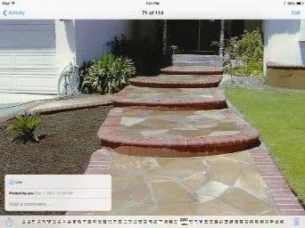 Top-rated garden landscaping experts serving Hayward, CA - Perennial Landscaping