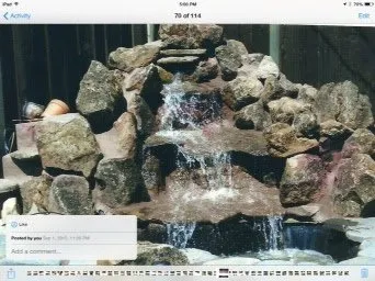 Custom lawn mowing service in Hayward, CA - Perennial Landscaping