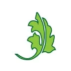 Local landscape installation in Metairie, LA - Perennial Lawn Care