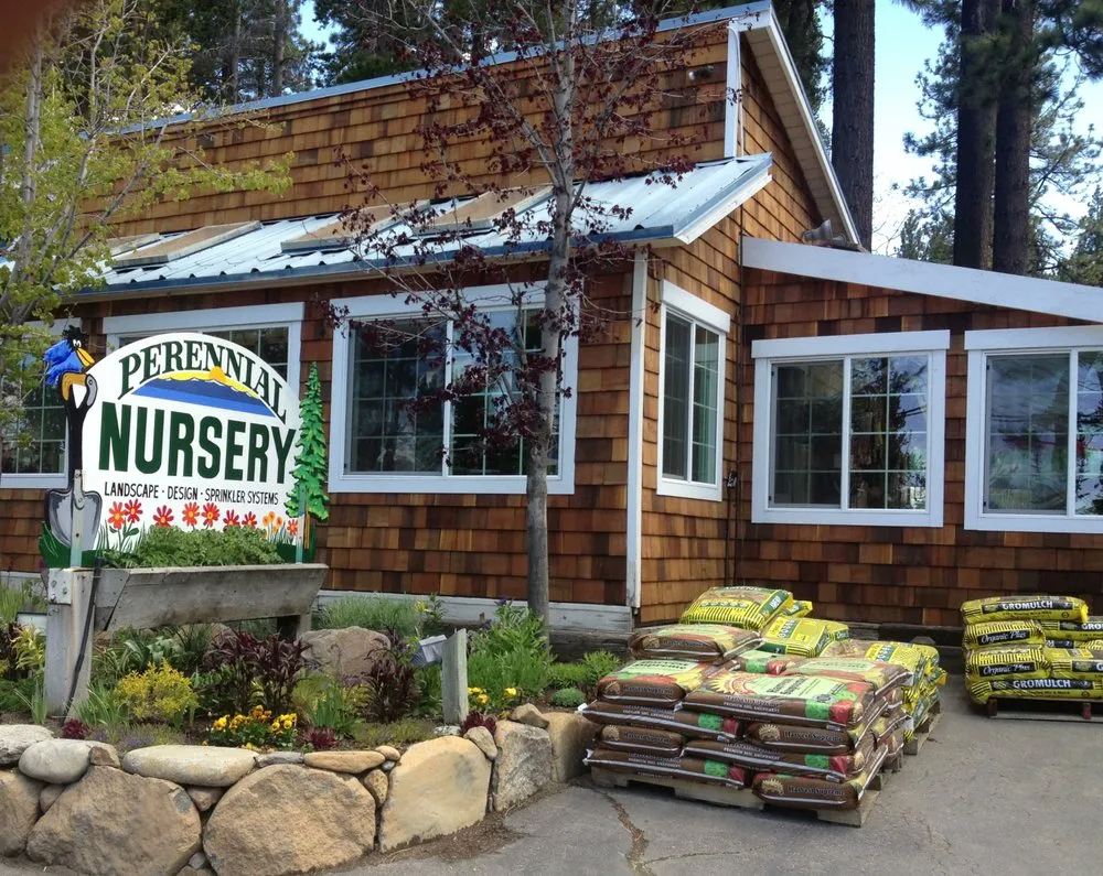 Trusted lawn mowing service experts serving Tahoe Vista, CA - Perennial Nursery & Landscape