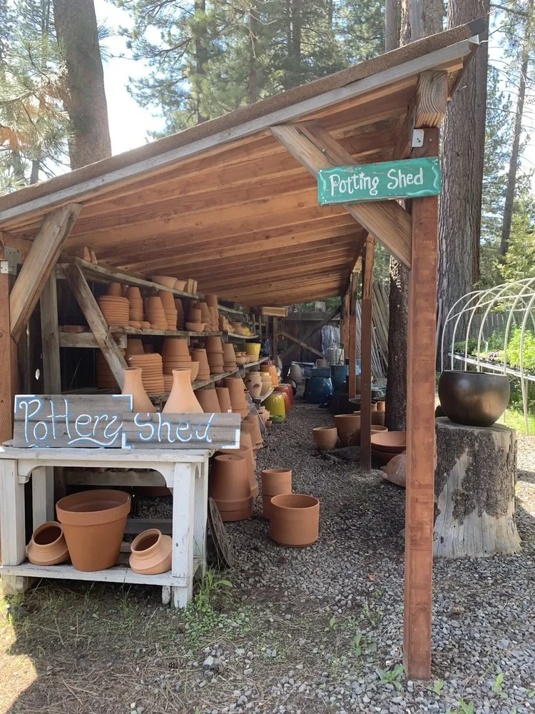 Expert yard cleanup service in Tahoe Vista, CA - Perennial Nursery & Landscape