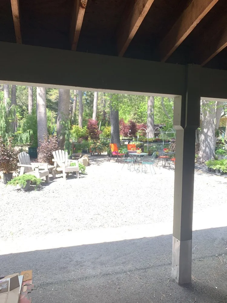 Top-rated yard maintenance in Tahoe Vista, CA - Perennial Nursery & Landscape