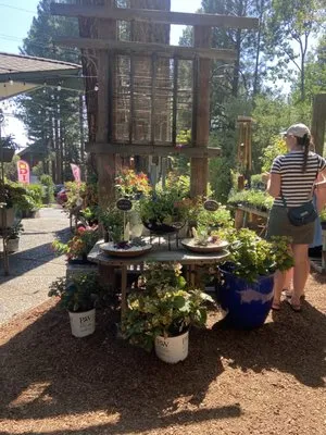 Perennial Nursery & Landscape