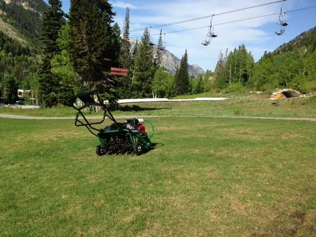 Professional yard maintenance in Snowbird, UT by Perennial Organics