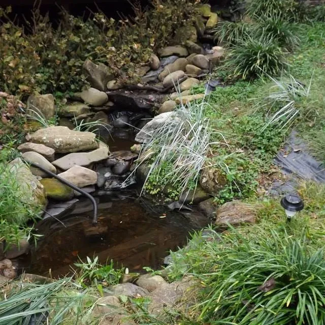 Expert lawn mowing service for beautiful yards across Rockford, TN - Perennial Ponds