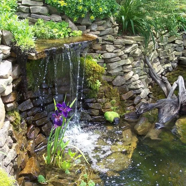 Local landscaping services for residential properties in Rockford, TN by Perennial Ponds