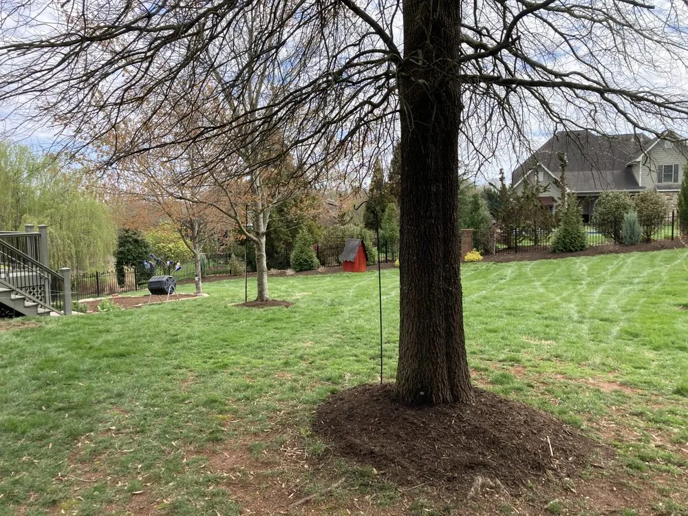 Reliable garden landscaping with custom design in Rockford, TN by Perennial Ponds