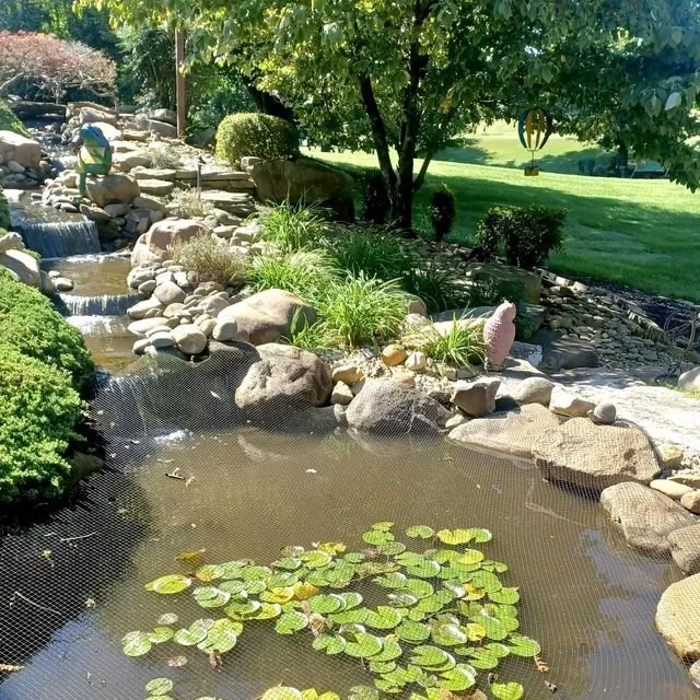 Trusted landscaping services in Rockford, TN - Perennial Ponds