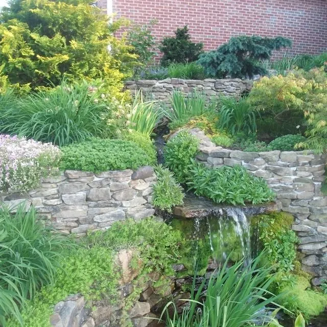 Top-rated landscape installation in Rockford, TN - Perennial Ponds