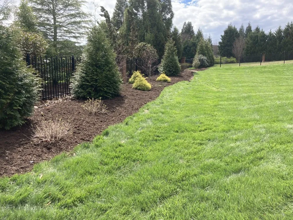 Custom landscaping services experts serving Rockford, TN - Perennial Ponds