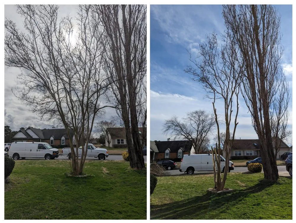 Local lawn mowing service for residential properties in Norfolk, VA by Perennial Property Clean Up