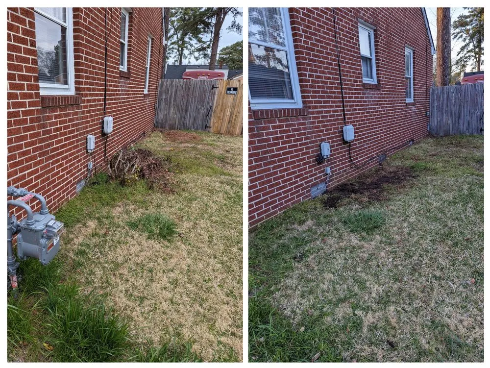 Professional yard cleanup service for residential properties across Norfolk, VA - Perennial Property Clean Up