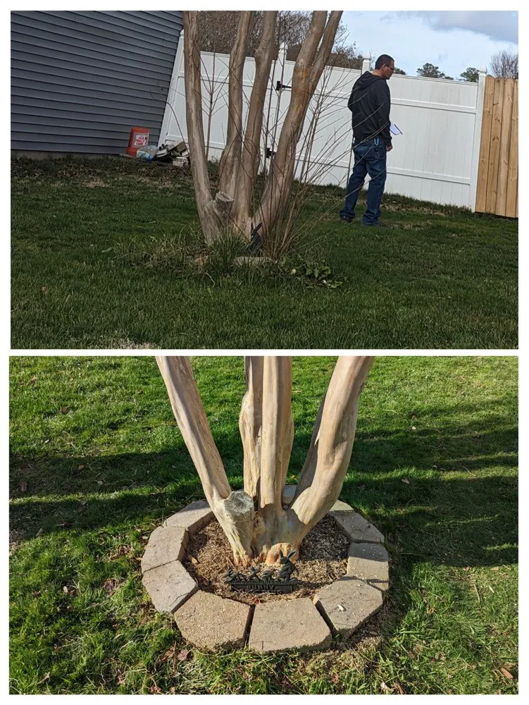 Local yard cleanup service in Norfolk, VA - Perennial Property Clean Up