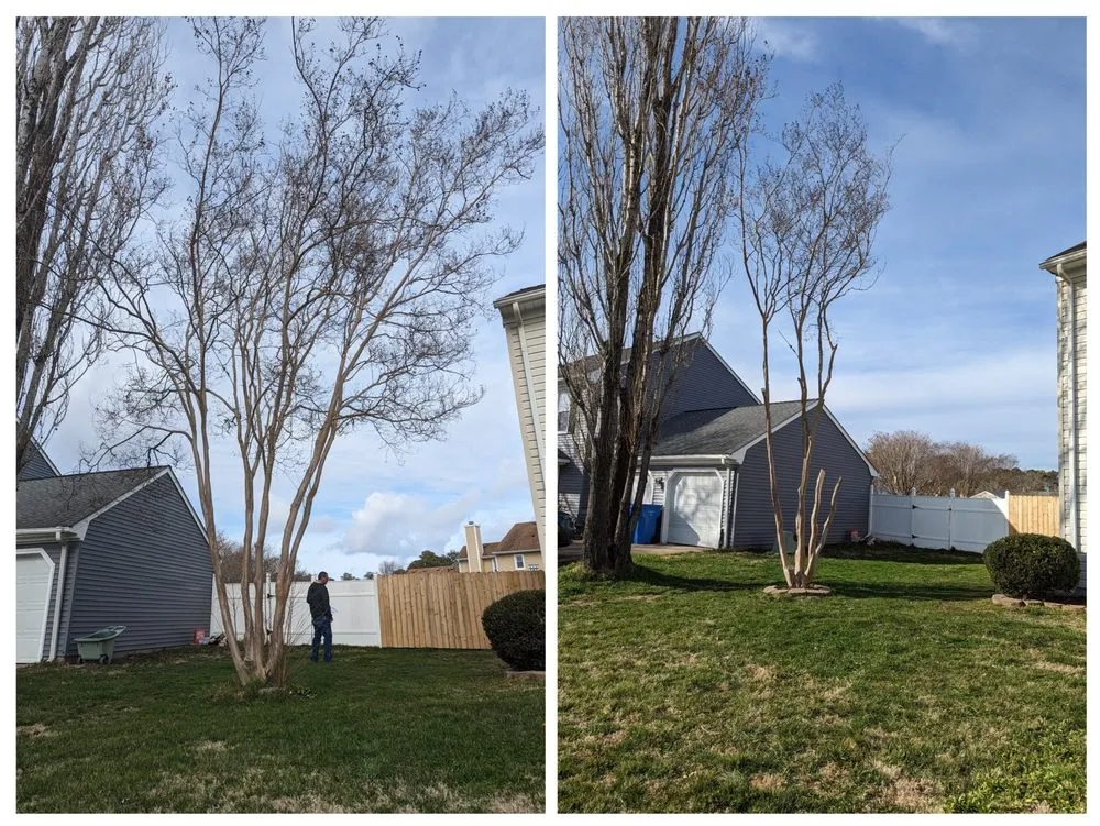 Local lawn mowing service in Norfolk, VA by Perennial Property Clean Up