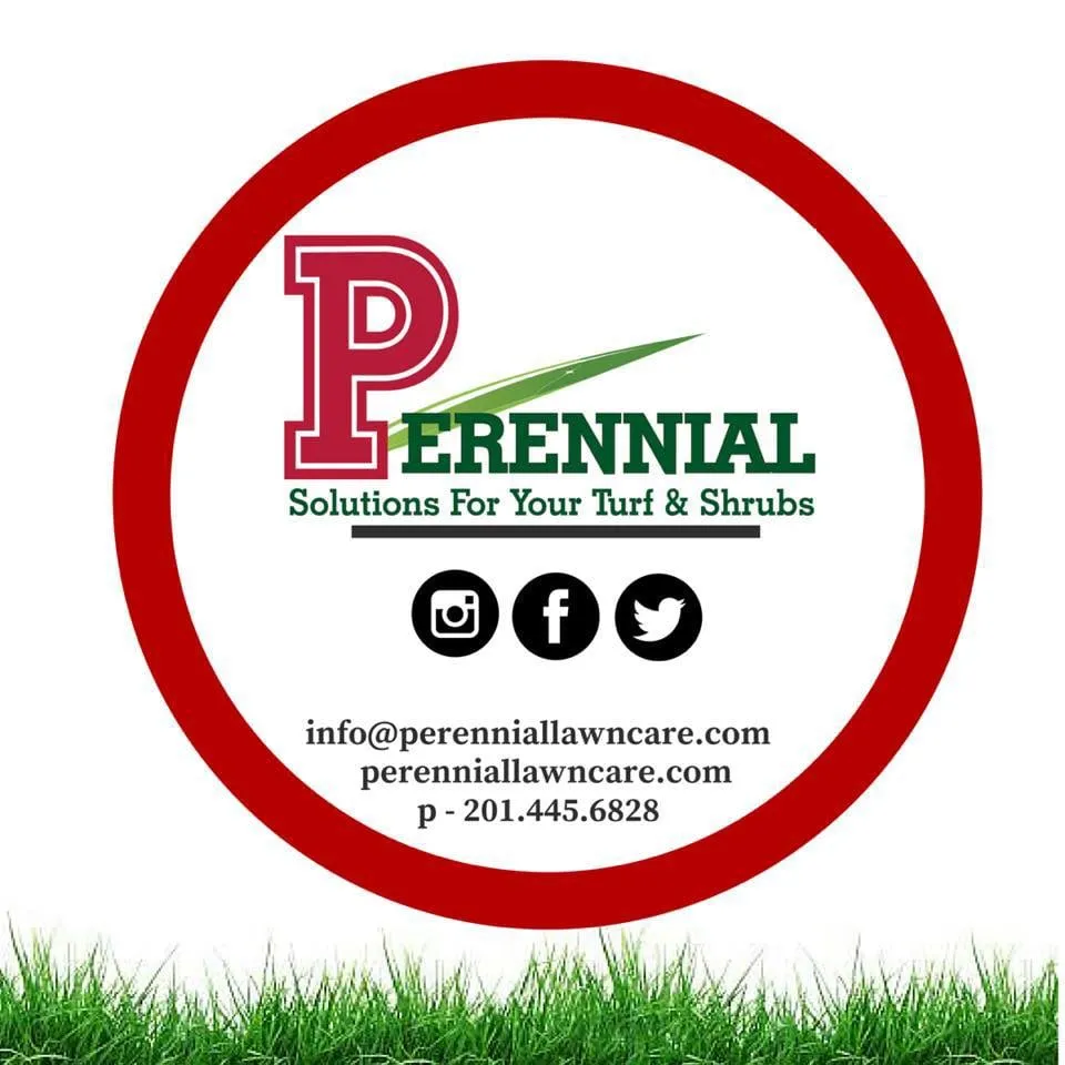 Local lawn care service in Wyckoff, NJ by Perennial