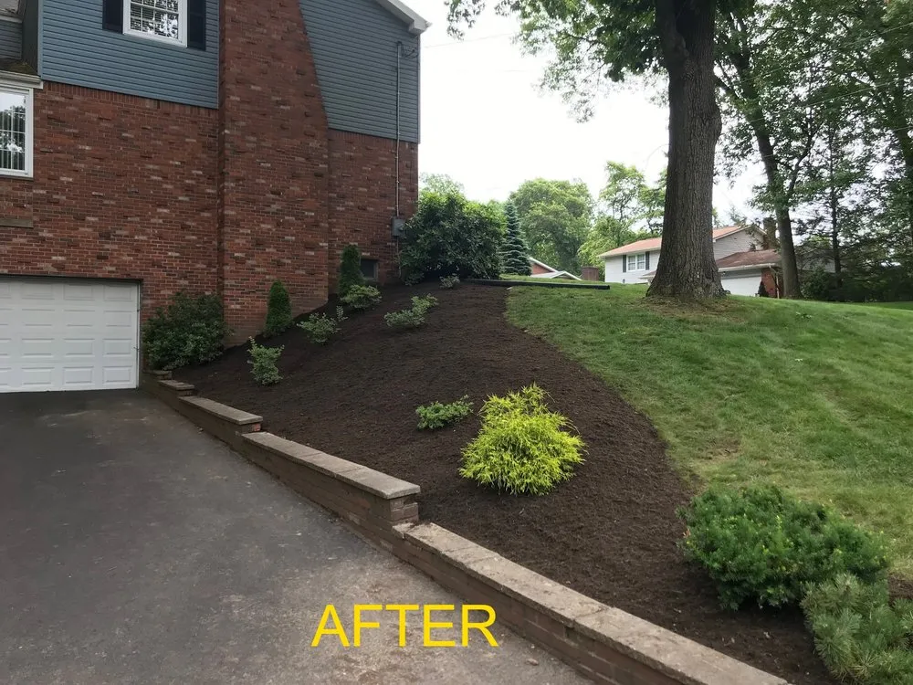 Reliable residential landscaping in Latrobe, PA - Perennial Yard