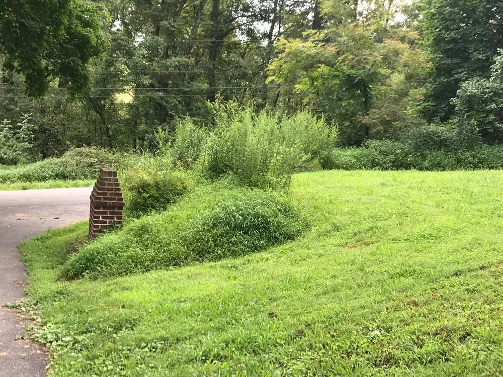 Affordable residential landscaping in Latrobe, PA - Perennial Yard