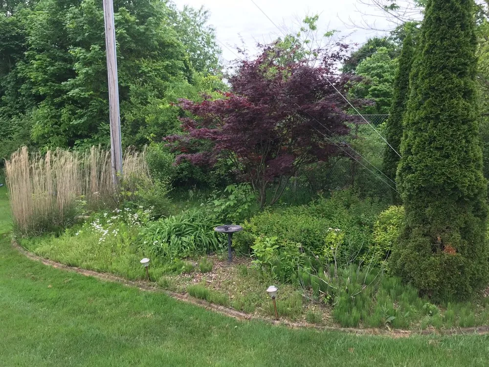 Expert lawn care service near you in Latrobe, PA by Perennial Yard