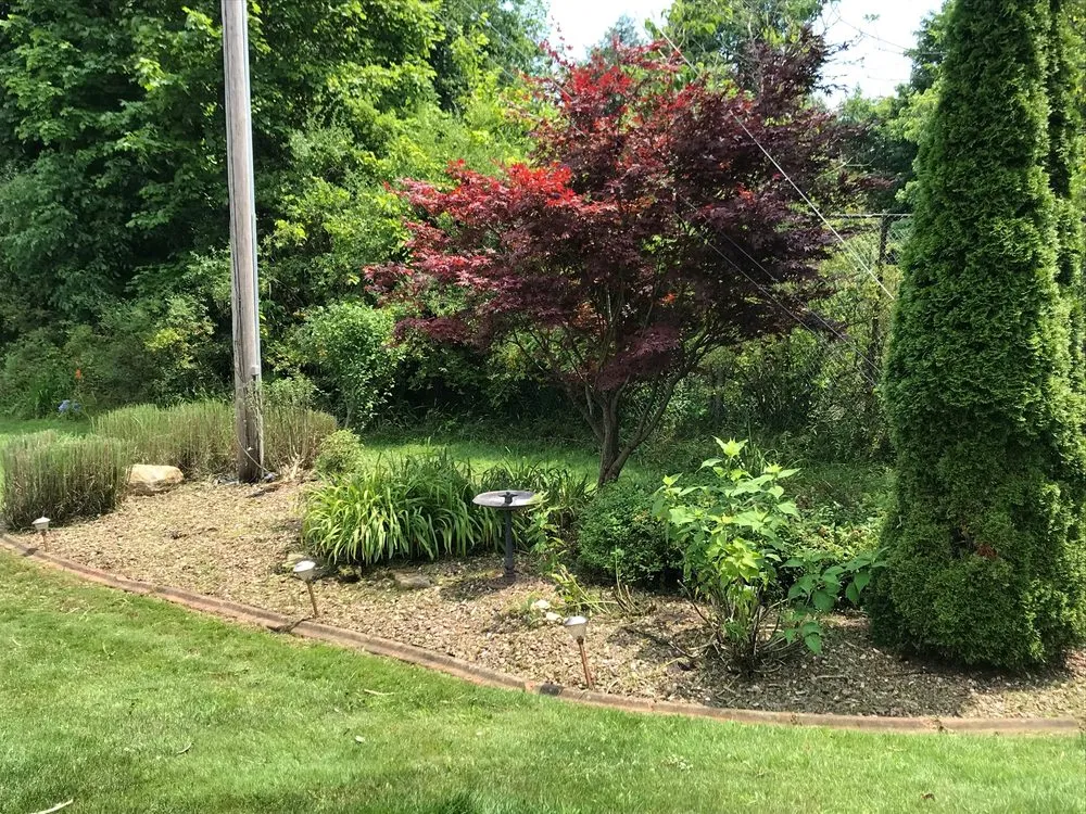 Affordable yard cleanup service for homes across Latrobe, PA - Perennial Yard