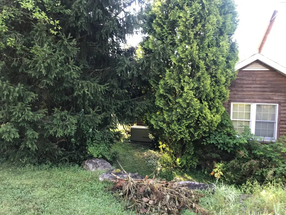 Top-rated landscaping services for beautiful yards across Latrobe, PA - Perennial Yard