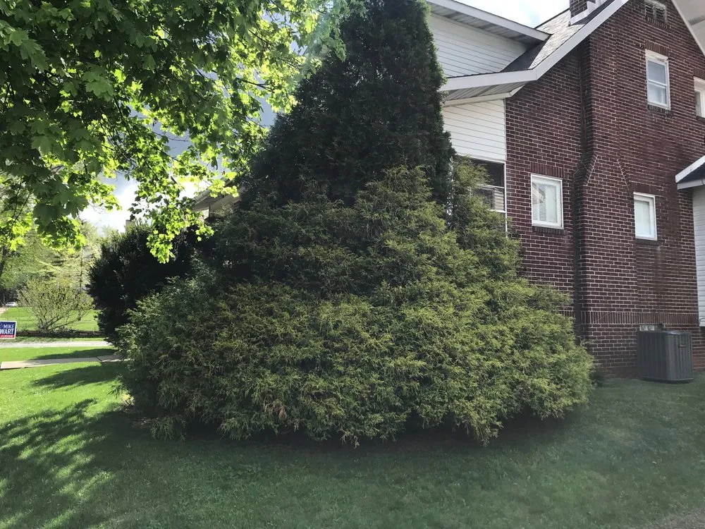 Top-rated landscape design in Latrobe, PA - Perennial Yard