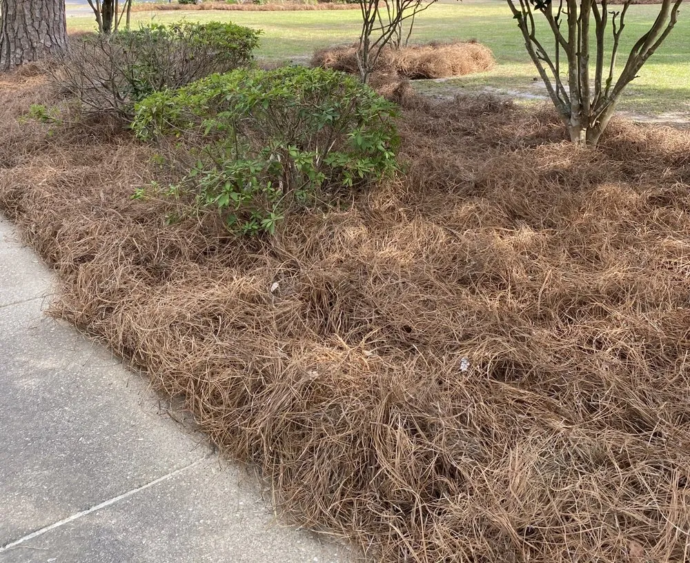 Local landscaping services with custom design in Cairo, GA by Perez & Sons