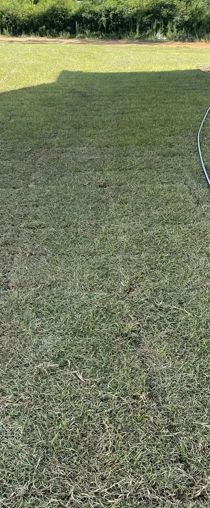 Reliable landscape design experts serving Cairo, GA - Perez & Sons