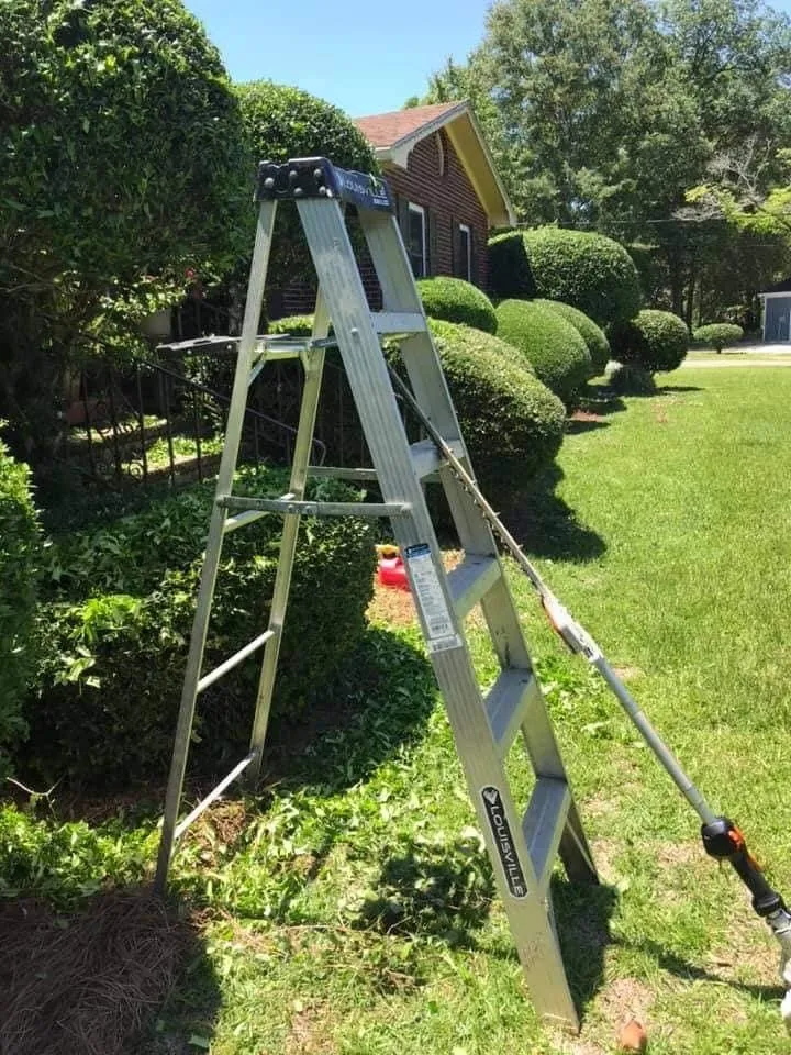 Custom landscaping services in Cairo, GA by Perez & Sons