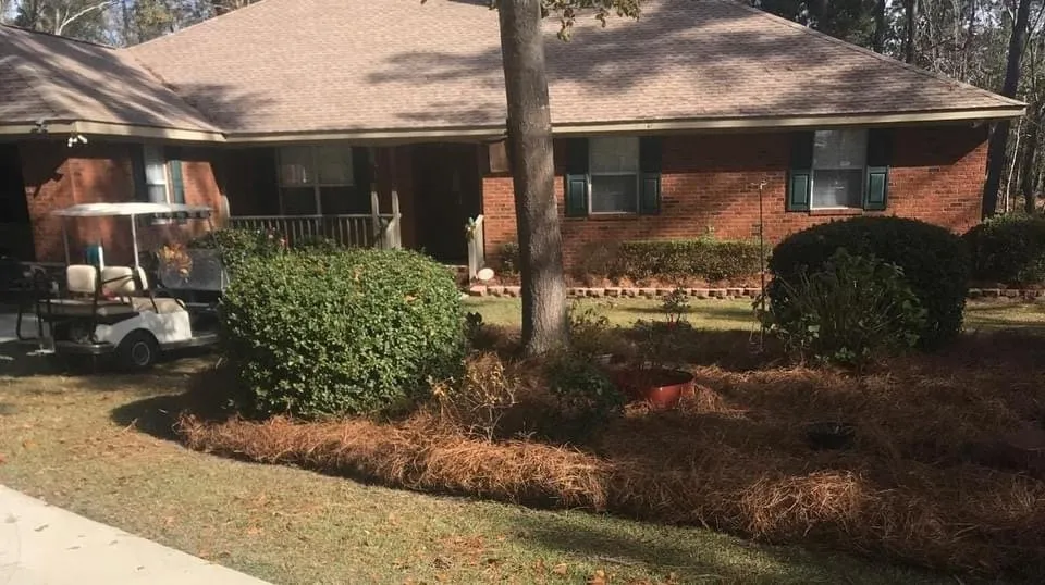 Top-rated landscaping services for year-round maintenance in Cairo, GA by Perez & Sons