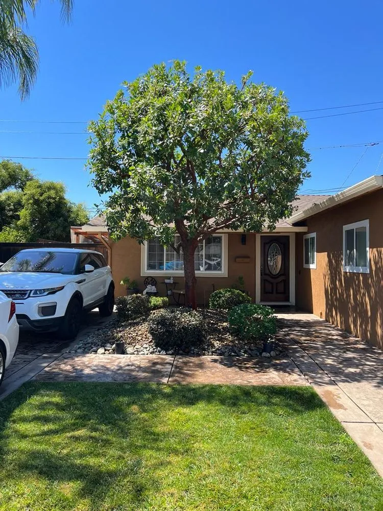 Expert garden landscaping in Modesto, CA by Perez & Yepez Landscaping