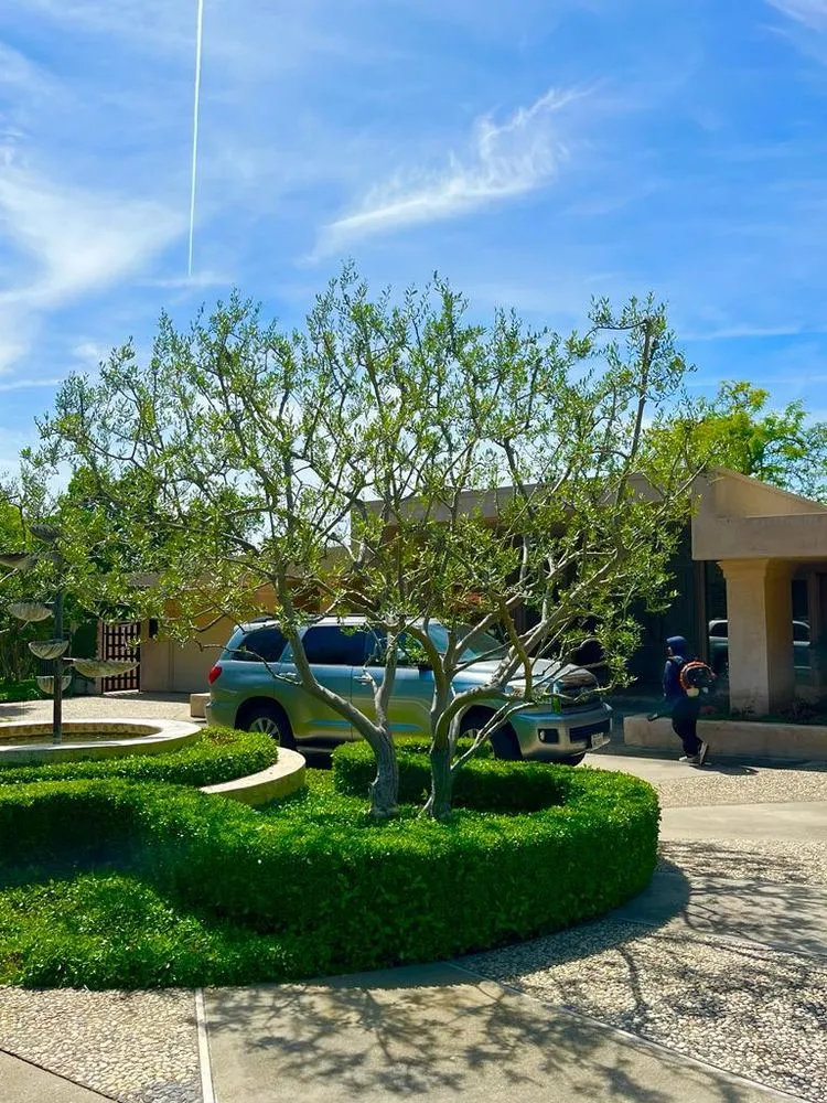 Affordable landscape design in Modesto, CA by Perez & Yepez Landscaping