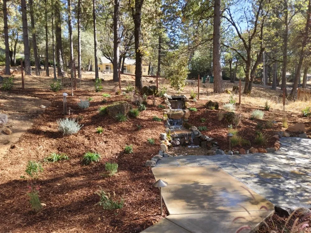 Reliable landscape installation for year-round maintenance across Grass Valley, CA - Perez and Weaver Property Improvements