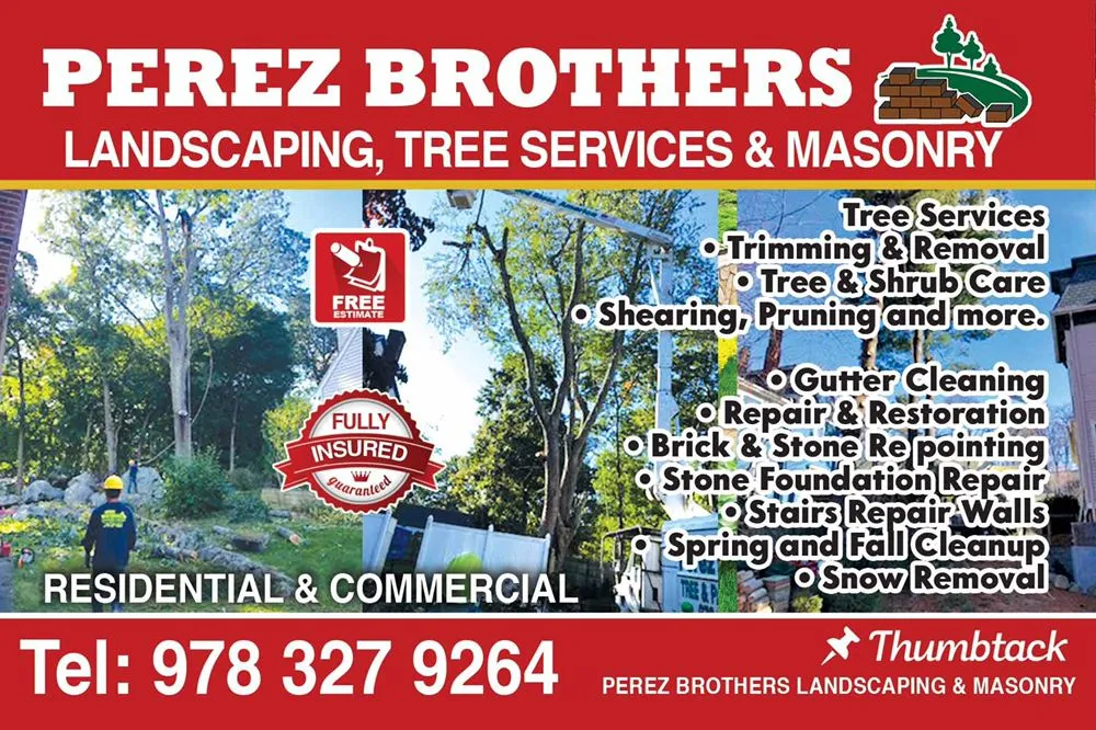 Professional yard cleanup service for residential properties across Lynn, MA - Perez Brothers Landscaping and Tree Service