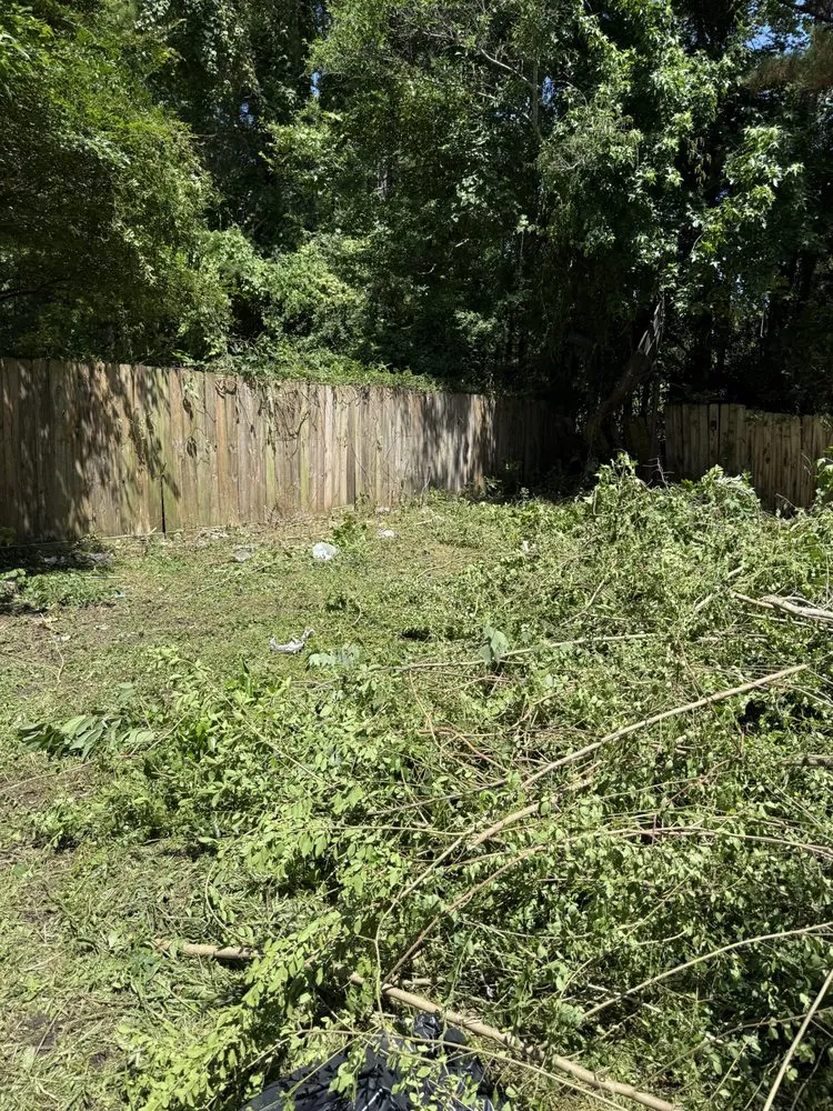 Affordable lawn care service experts serving Jacksonville, NC - Perez Contracting