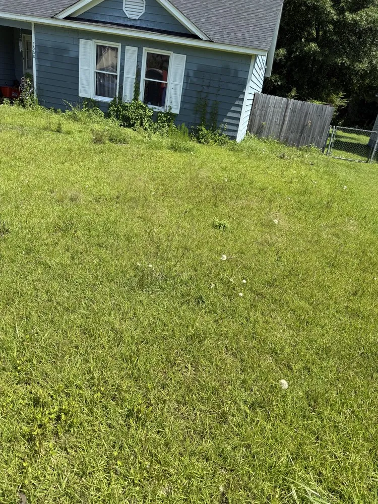 Local landscaping services in Jacksonville, NC - Perez Contracting