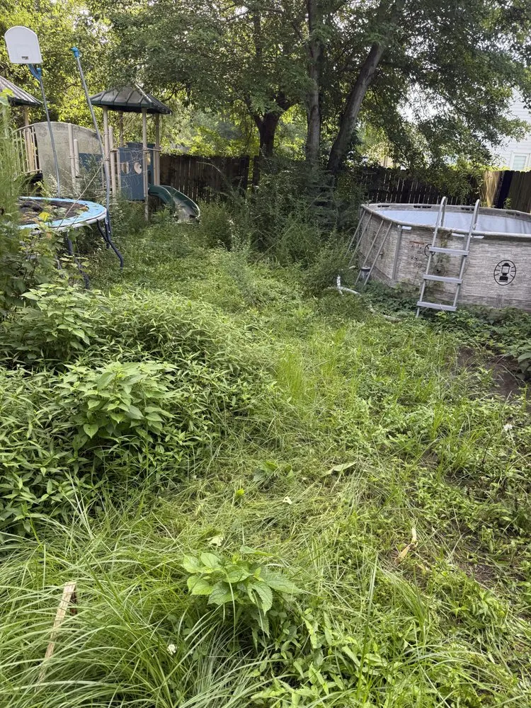 Affordable landscape design in Jacksonville, NC - Perez Contracting