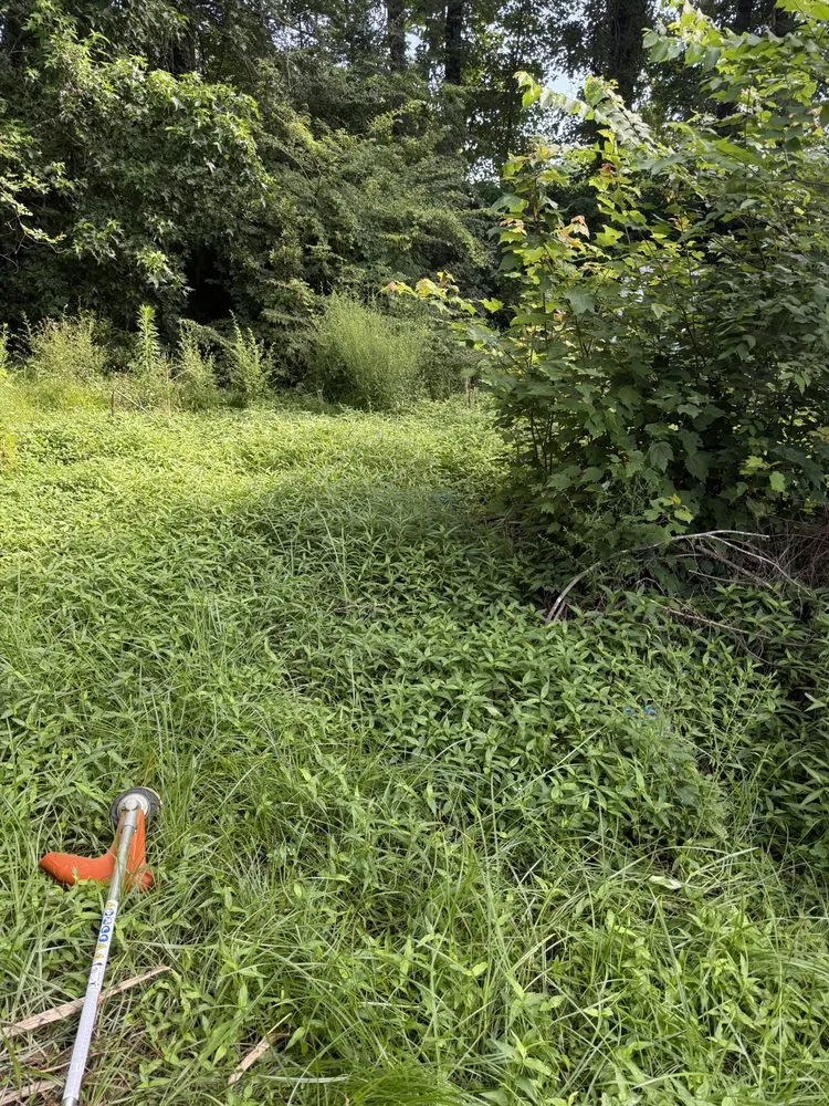 Local yard maintenance experts serving Jacksonville, NC - Perez Contracting