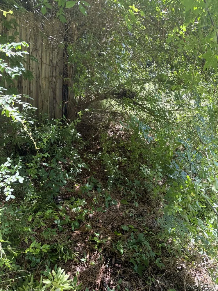 Professional landscape installation in Jacksonville, NC - Perez Contracting