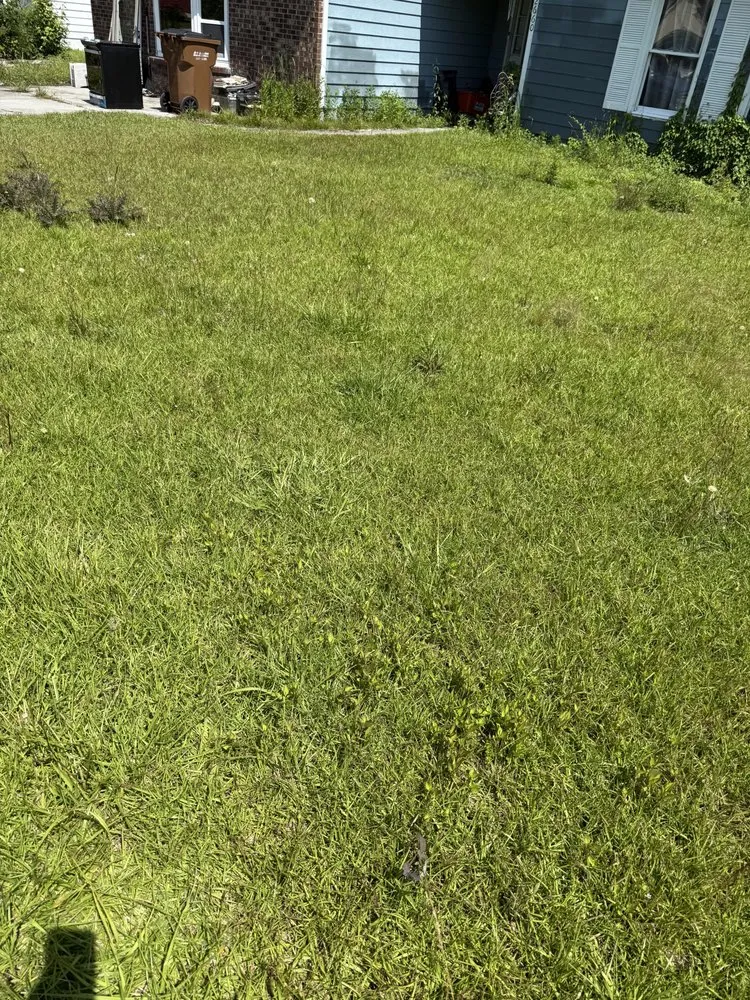 Top-rated landscape installation experts serving Jacksonville, NC - Perez Contracting