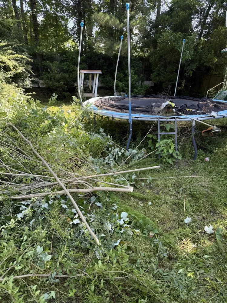 Top-rated garden landscaping in Jacksonville, NC - Perez Contracting