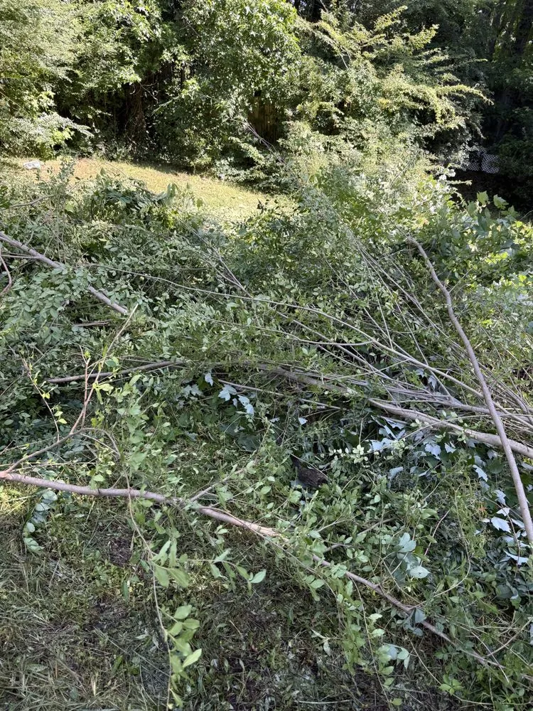 Affordable outdoor landscaping for beautiful yards across Jacksonville, NC - Perez Contracting