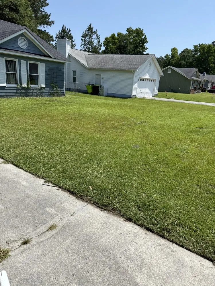 Top-rated yard cleanup service for residential properties across Jacksonville, NC - Perez Contracting